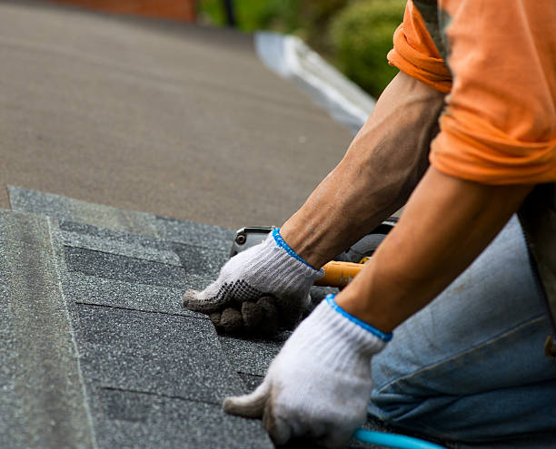 Best Roof Gutter Cleaning  in Old Jamestown, MO